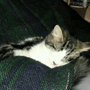 Meet your Posher, Jen